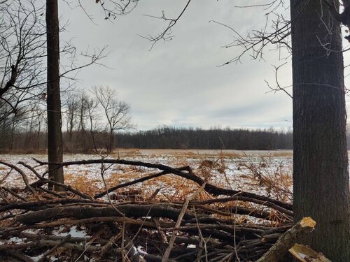 IMG_20191212_144017730_HDR.jpeg