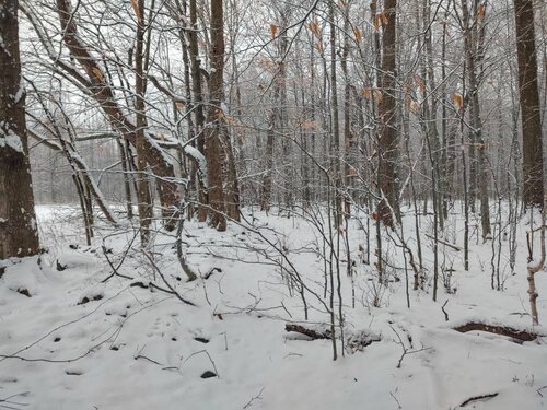 IMG_20191217_141338695_HDR.jpeg
