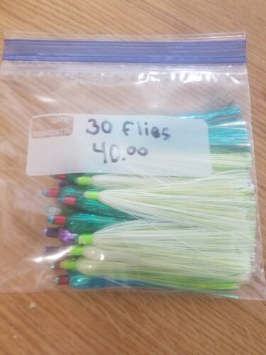 20200105_123255.jpeg