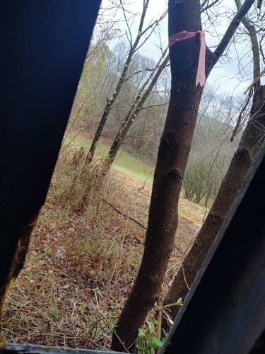 IMG_20200104_151600266_HDR.jpeg