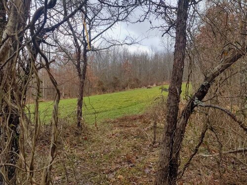 IMG_20200105_104203923_HDR.jpeg