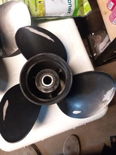 prop 15.5 X 14.jpg