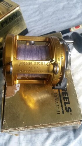 reels 2.jpg