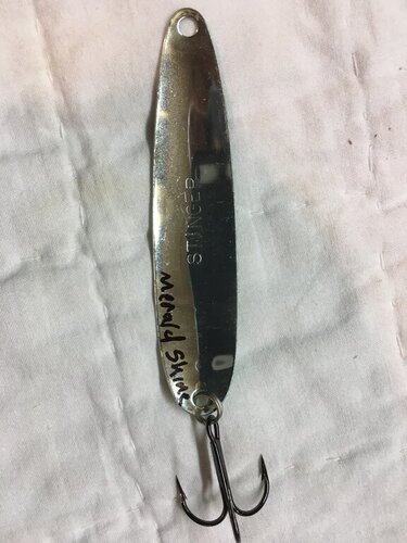 single_stinger.thumb.jpeg.785ba479d396867eccaf2b6638f84cbd.jpeg