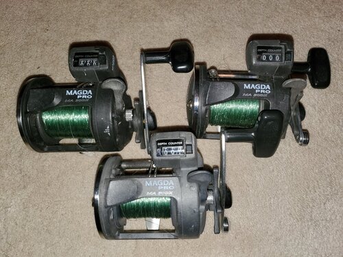 15749795_Okuma3.thumb.jpg.705c70b25fa81fec32ae8f8f618391d3.jpg
