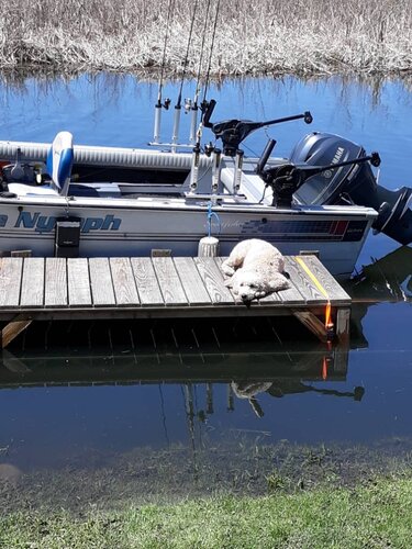 20190518_124609.jpeg