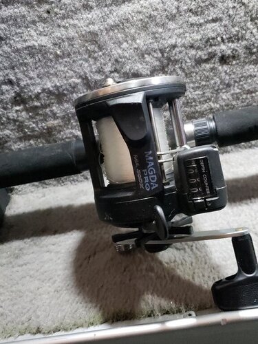 20200308_102314.jpg