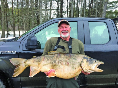 NH record LT b.png