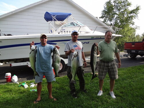 salmon8-17-13.jpg