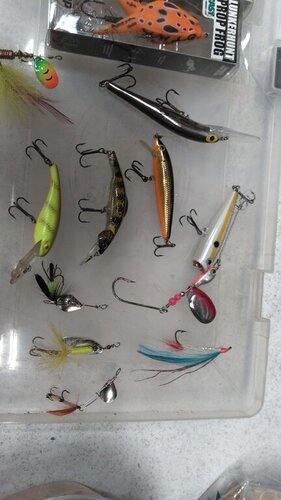 lures in box 3.JPG