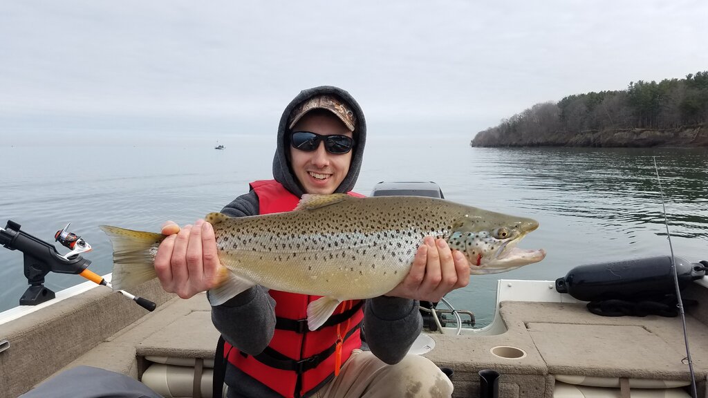Olcott 4/4 New York Fishing Reports Lake Ontario (South Shore