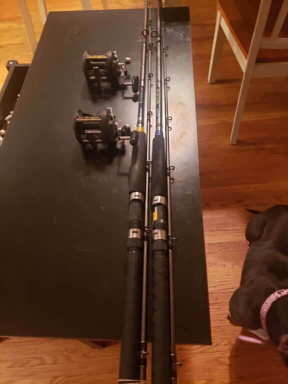 sealine 47LC on okuma classic GTL dipsy diver rods Classifieds Buy
