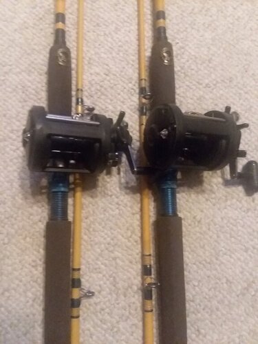 20200411_220050.jpg