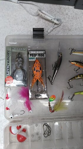 lures in box 2.JPG