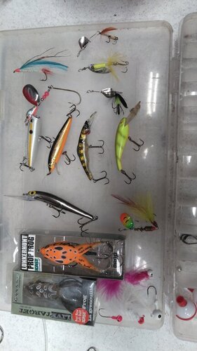 lures in box 1.JPG