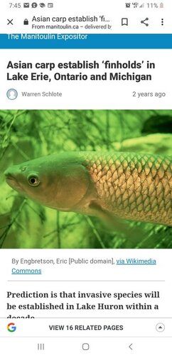 Screenshot_20200411-194504_Chrome.thumb.jpg.4f37489ebbbf3befab7186a0ce01680e.jpg