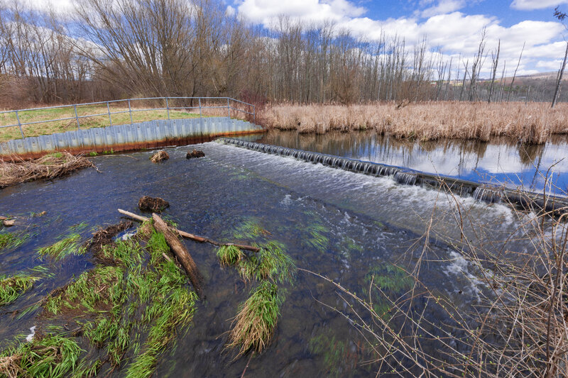 720_0214 conesus lake pike_.jpg Fishing & Boating Lake Ontario