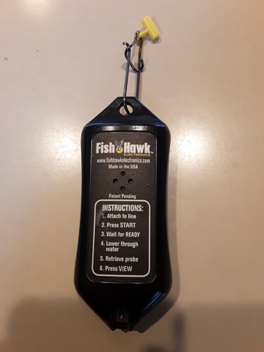 fish hawk 003.jpg