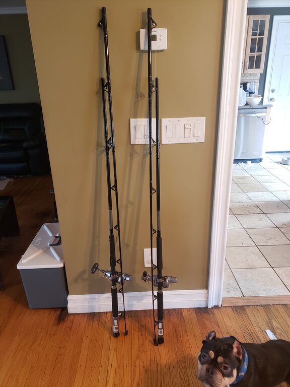 Daiwa Saltest 30LCHA full of 1000ft of wire on Great Lakes 962MHFWL