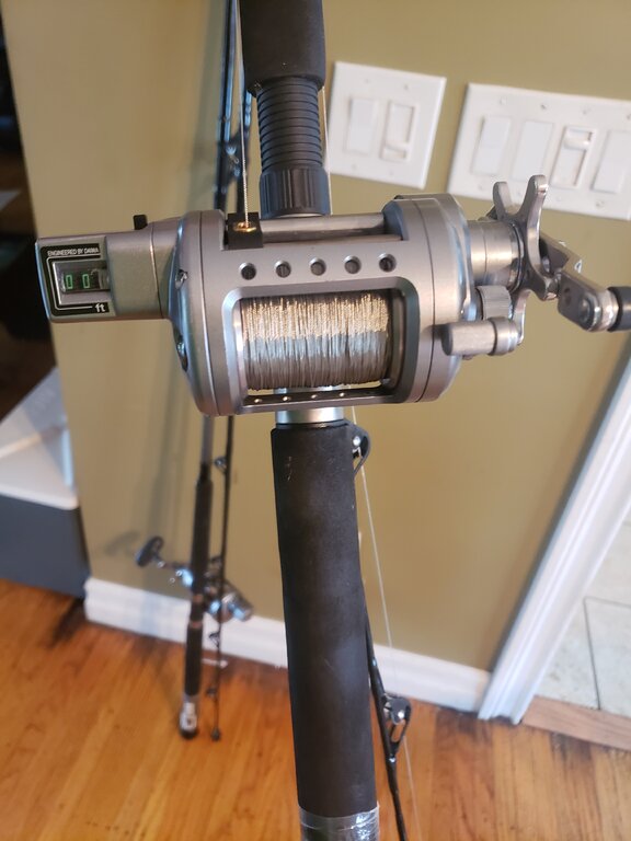 Daiwa Saltest 30LCHA full of 1000ft of wire on Great Lakes 962MHFWL