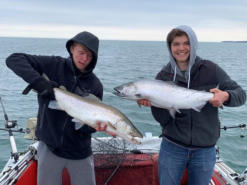 brown and salmon.jpg