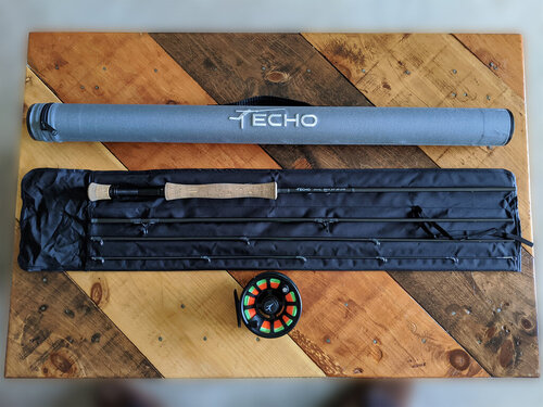 echoion1.jpg