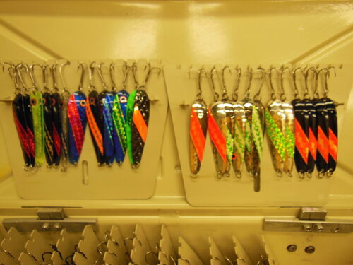 DSCN4316.JPG