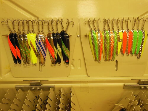 DSCN4317.JPG