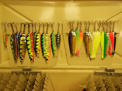 DSCN4318.JPG
