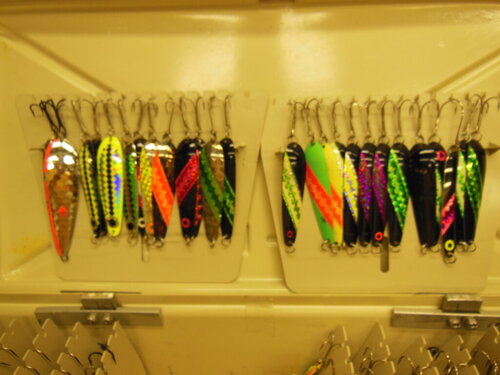 DSCN4319.JPG