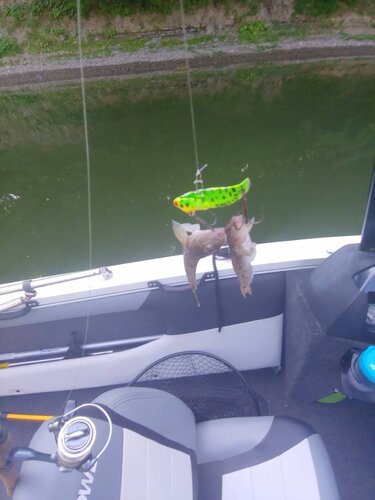 0709201013_HDR.jpeg