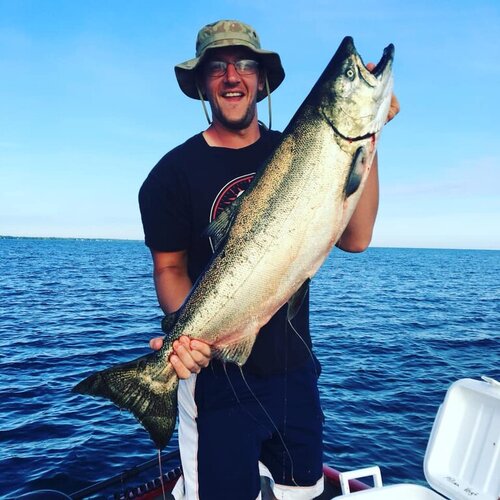 fish 2.jpg