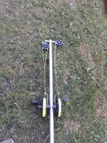 20200726_055441.jpeg