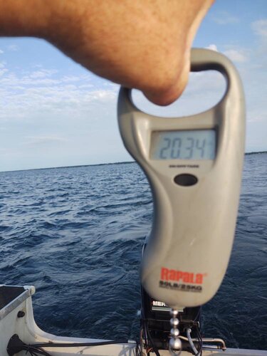 IMG_20200721_191436347.thumb.jpeg.a53fc43db01800e0a4c7e5f8e39cebbf.jpeg