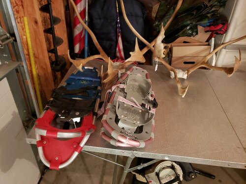 Caribou RAcks.jpg