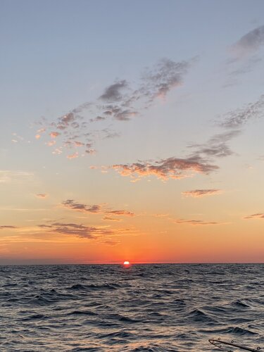 IMG_4694.JPG