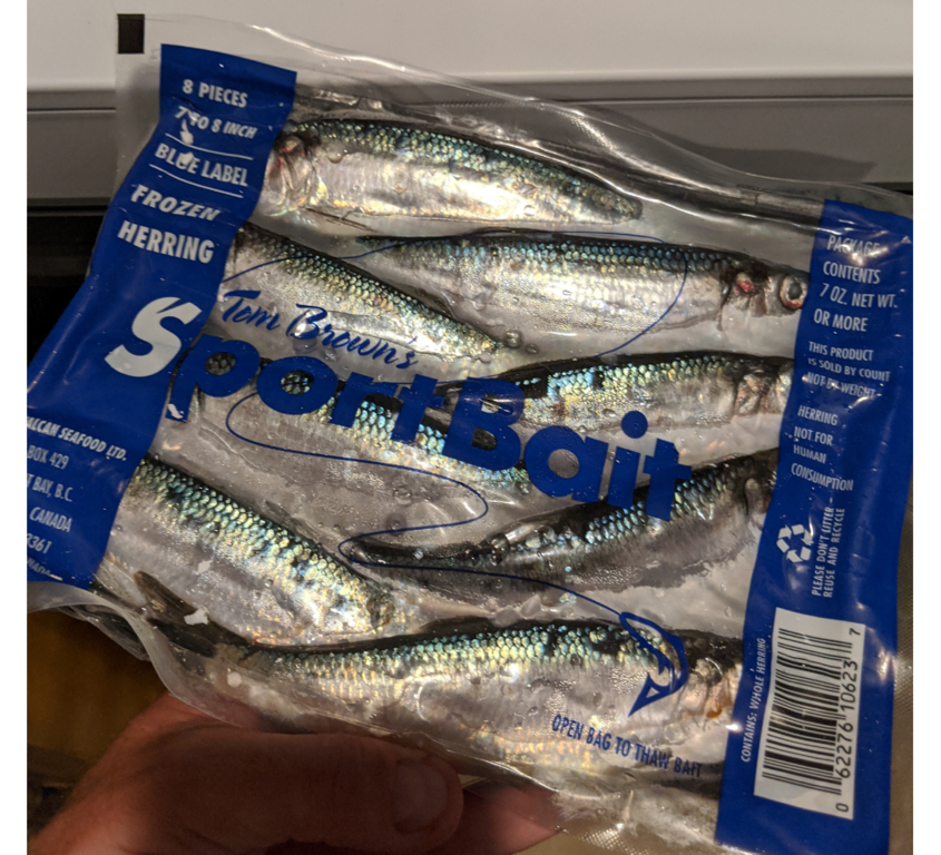 blue label herring bait trays (mexico) Classifieds Buy, Sell, Trade