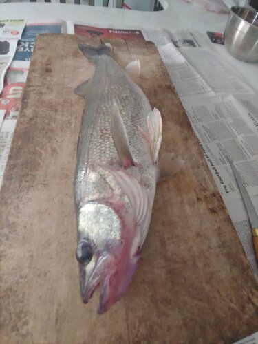 0910201238.jpeg