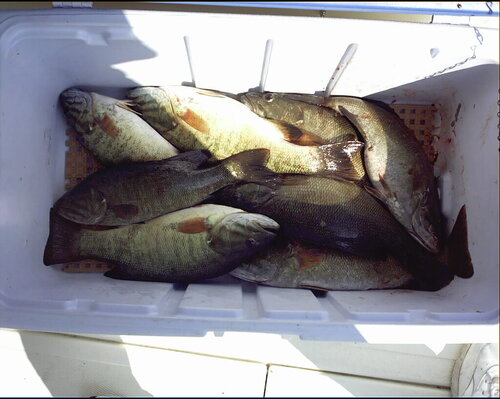 Bass 9-29-02.jpg