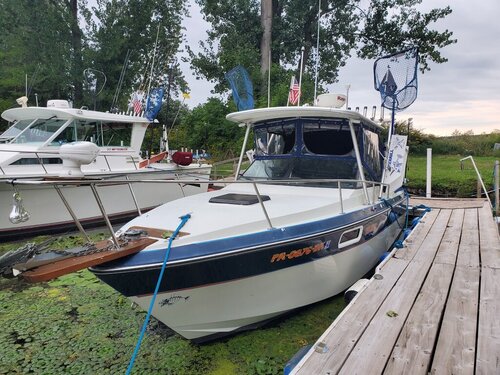 20200908_072201.jpg