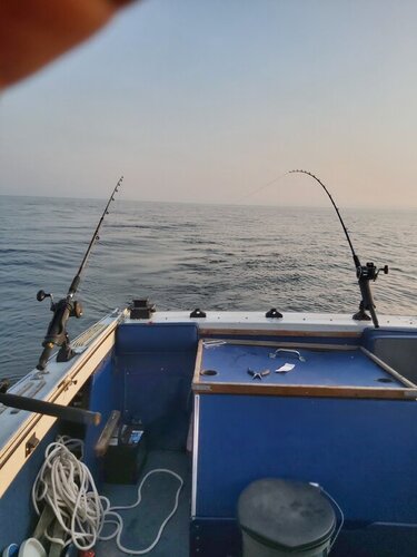 20200909_184222.jpg