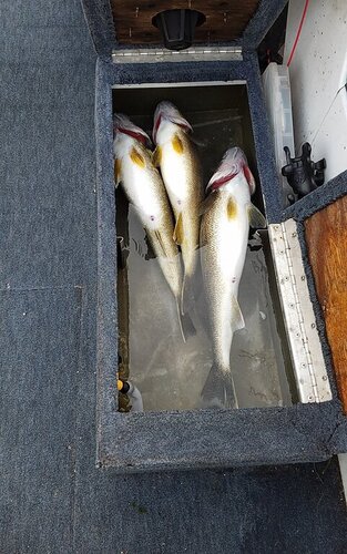 20200916_073532.jpg