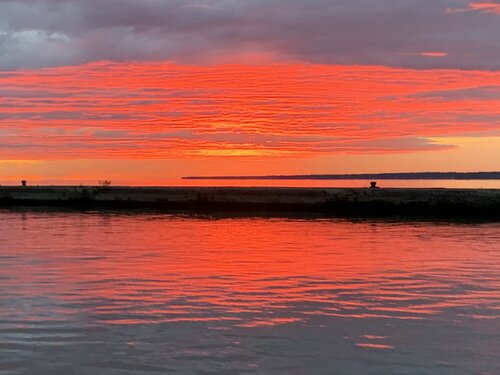 IMG_0295.JPG