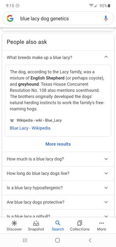 Screenshot_20200912-091545_Google.jpeg