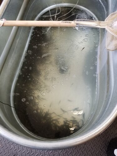 20201022_120431.jpg