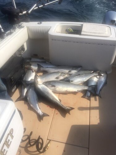Boat 3.jpg