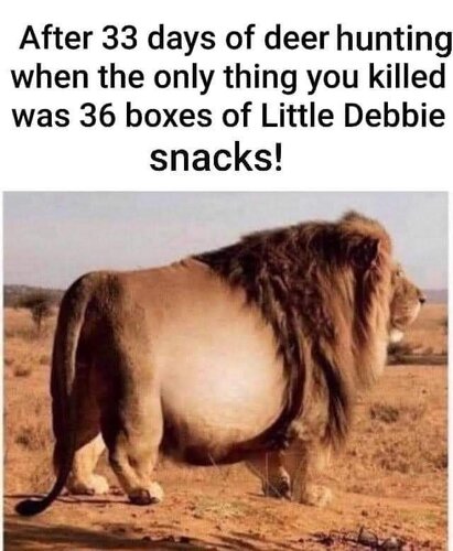 FB_IMG_1603558536868.jpeg