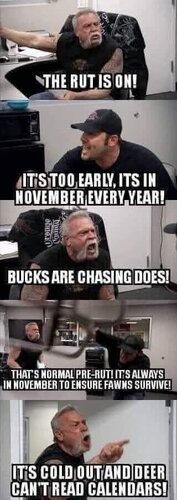 FB_IMG_1603899185570.jpeg