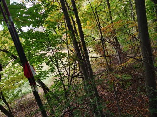 IMG_20201008_161204802_HDR.jpeg