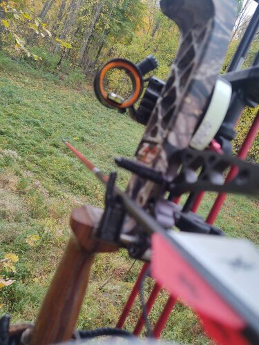 IMG_20201018_160830263.jpeg